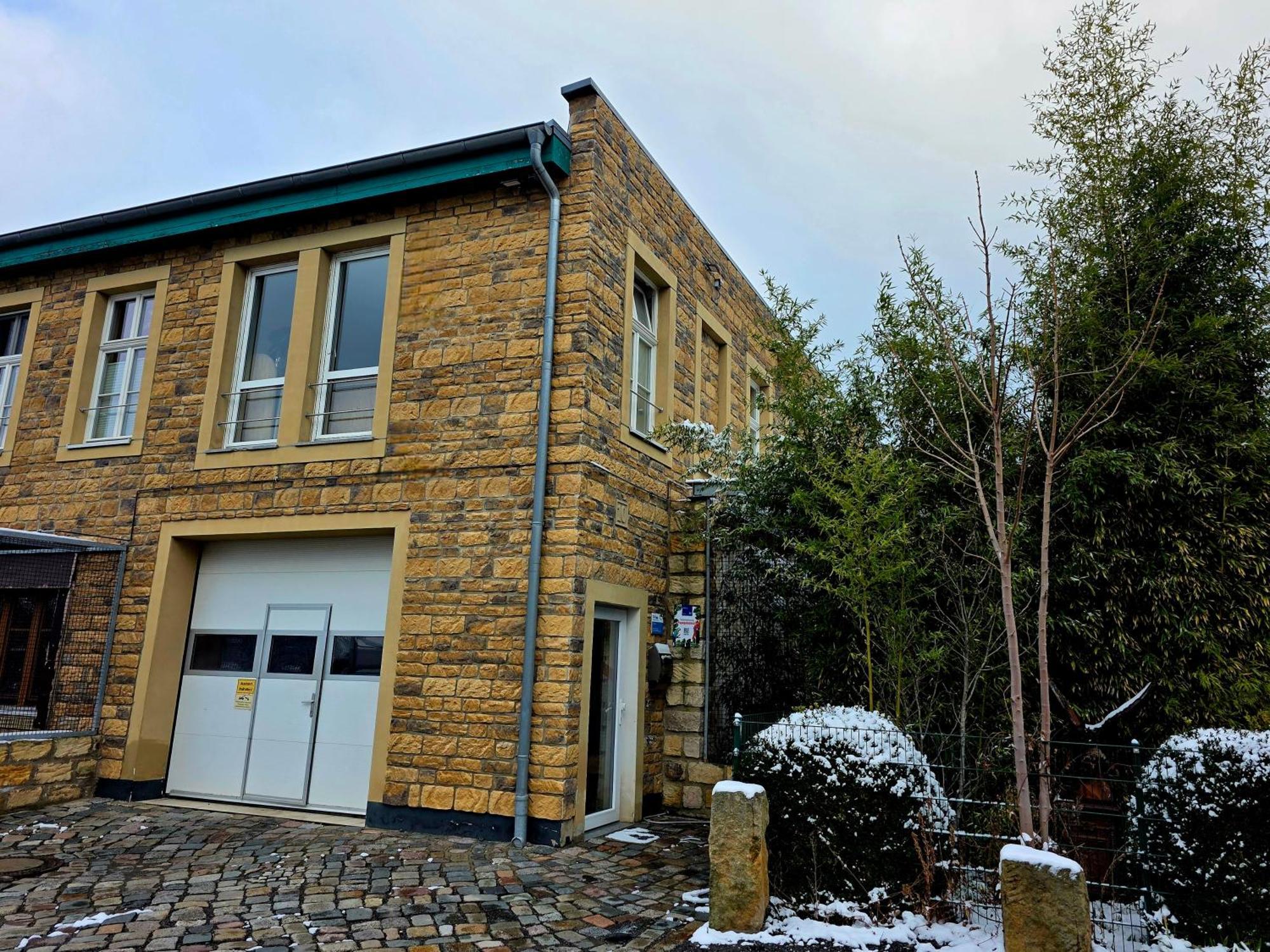 Apartamento Papageiennest Dresde Exterior foto